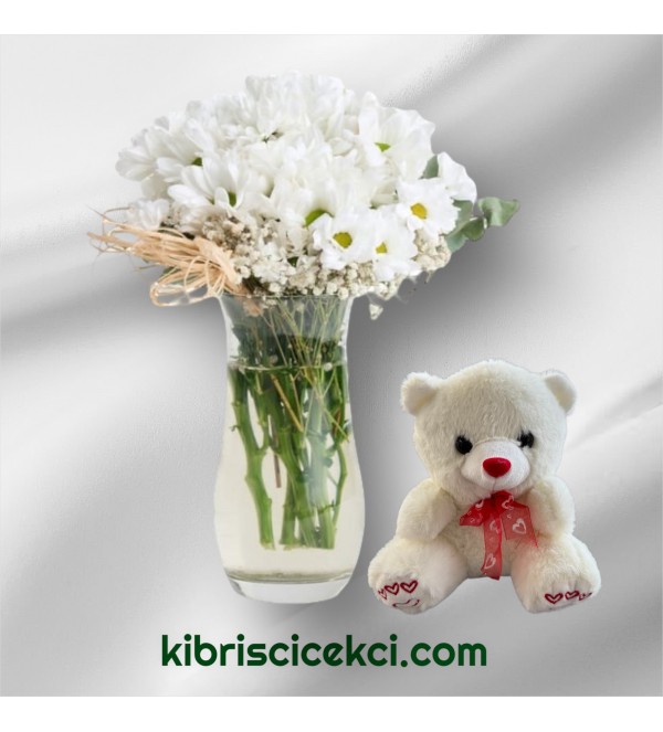 Vazoda Papatya Ayıcık 